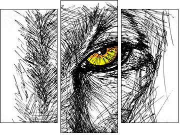 Hand drawn Sketch of a lion looking intently at the camera - Three-piece canvas print, Triptych