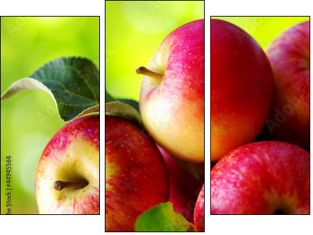 ripe red apples on table - Three-piece canvas print, Triptych