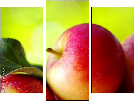 ripe red apples on table - Three-piece canvas print, Triptych