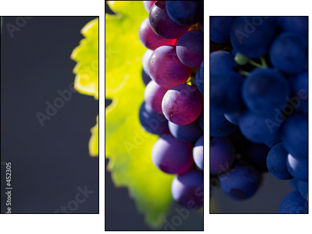 glowing dark wine grapes - Three-piece canvas print, Triptych