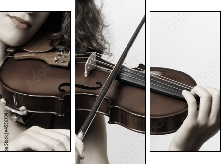 Violin musical instrument violinist hand - Three-piece canvas print, Triptych