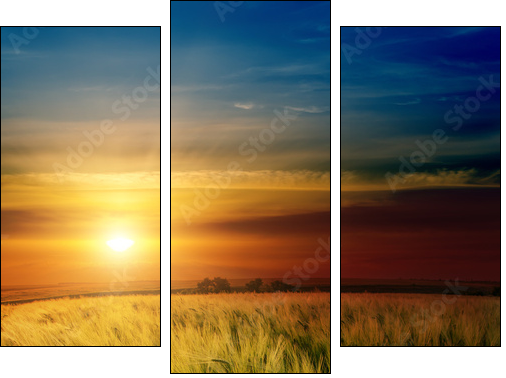 dramatic sunset over green field - Three-piece canvas print, Triptych