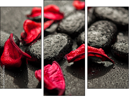 background spa. black stones and red petals with water droplets - Three-piece canvas print, Triptych