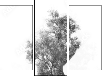 Nature and the human form - Three-piece canvas print, Triptych