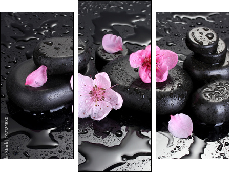 Spa stones with drops and pink sakura flowers - Three-piece canvas print, Triptych