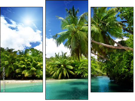 lake and palms, Mahe island, Seychelles - Three-piece canvas print, Triptych