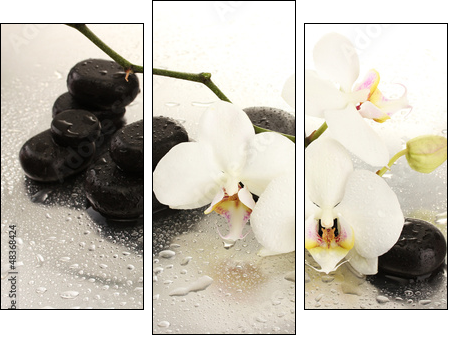 Spa stones and orchid flowers, isolated on white. - Three-piece canvas print, Triptych