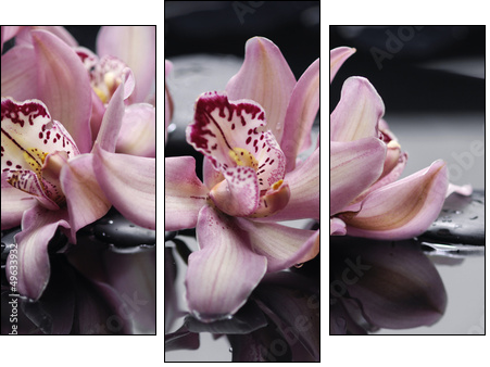 spa concept âgorgeous pink orchid and zen stones - Three-piece canvas print, Triptych