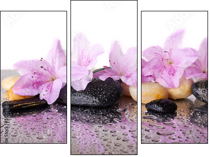 Pink flowers and black stones - Three-piece canvas print, Triptych