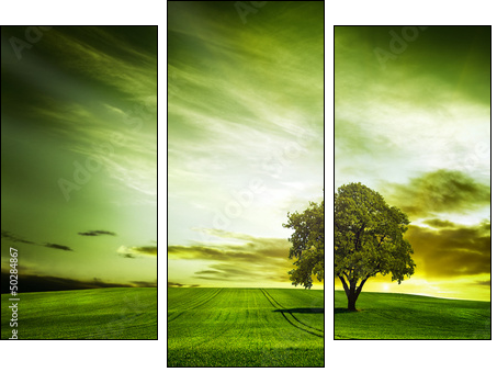 Green nature - Three-piece canvas print, Triptych