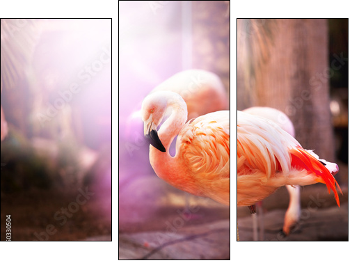 Flamingo - Three-piece canvas print, Triptych