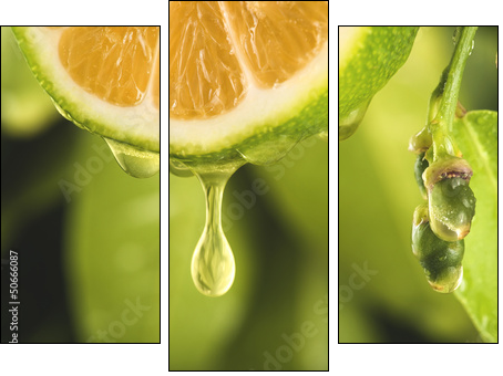 Drop of juice from a sliced lemon - Three-piece canvas print, Triptych