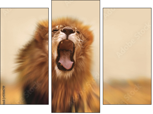 Lion - Three-piece canvas print, Triptych