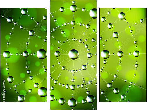 Abstract spider web with dew drops - Three-piece canvas print, Triptych