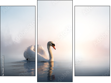 Art Swan floating on the water at sunrise of the day - Three-piece canvas print, Triptych