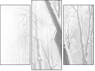 Red benches in the fog in winter - Three-piece canvas print, Triptych