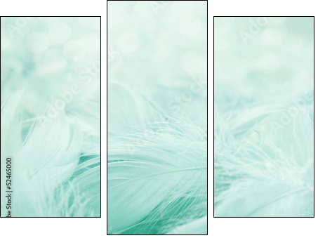Soft fluffy feathers - Three-piece canvas print, Triptych
