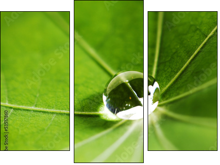 Water drop on green leaf - Three-piece canvas print, Triptych