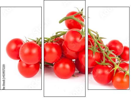 cherry tomatoes - Three-piece canvas print, Triptych