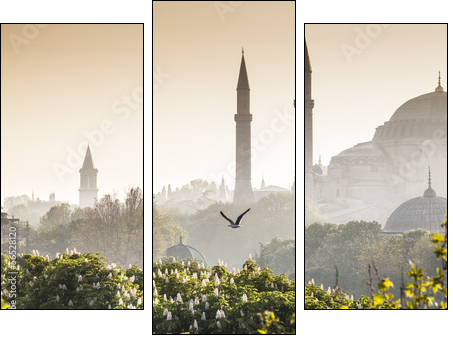 Sultanahmet Camii / Blue Mosque, Istanbul, Turkey - Three-piece canvas print, Triptych