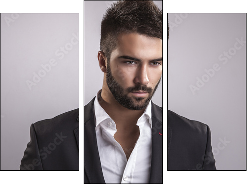 Elegant young handsome man. Studio fashion portrait. - Three-piece canvas print, Triptych