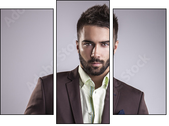 Elegant young handsome man. Studio fashion portrait. - Three-piece canvas print, Triptych