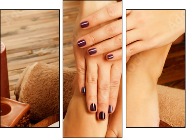 female feet at spa salon on pedicure procedure - Three-piece canvas print, Triptych
