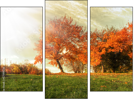 Autumn landscape - Three-piece canvas print, Triptych