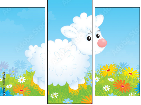 Little white sheep walking on a flowery meadow - Three-piece canvas print, Triptych