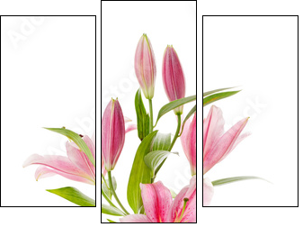 Pink lily - Three-piece canvas print, Triptych