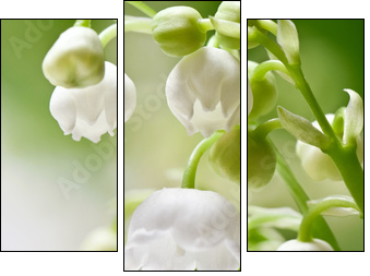 Delicate flowers on a branch of lily of the valley - Three-piece canvas print, Triptych