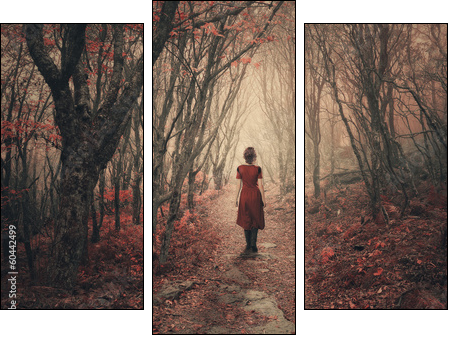 Woman and foggy forest. - Three-piece canvas print, Triptych
