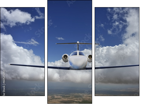 Executive in flight - Three-piece canvas print, Triptych