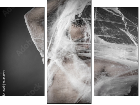Trap.man tangled in huge white spider web - Three-piece canvas print, Triptych