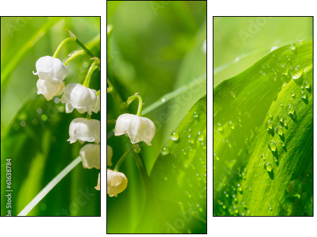 Lilly of the valley - Three-piece canvas print, Triptych