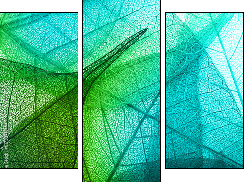 Macro leaves background texture - Three-piece canvas print, Triptych