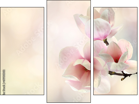 magnolia - Three-piece canvas print, Triptych