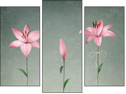 Three pink lily - Three-piece canvas print, Triptych