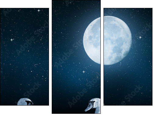 Swans on the lake in the night sky. - Three-piece canvas print, Triptych