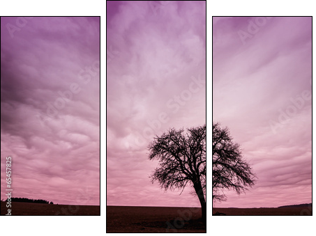 Tree Silhouette with Colorful Pink Sky - Three-piece canvas print, Triptych