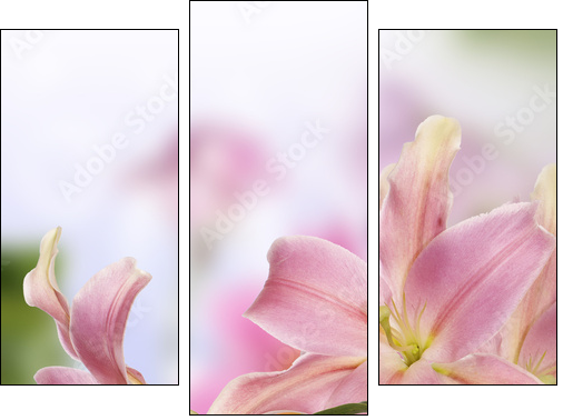 Lily.Flower card - Three-piece canvas print, Triptych