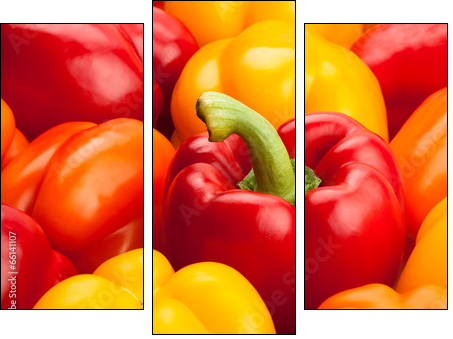 bell peppers - Three-piece canvas print, Triptych