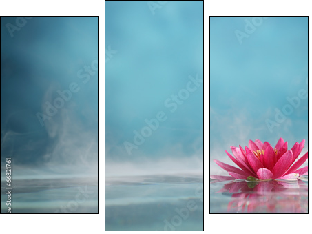 water lily - Three-piece canvas print, Triptych