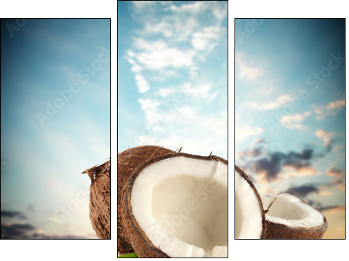 coconuts - Three-piece canvas print, Triptych