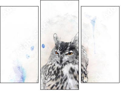 Watercolor Image Of  Owl - Three-piece canvas print, Triptych
