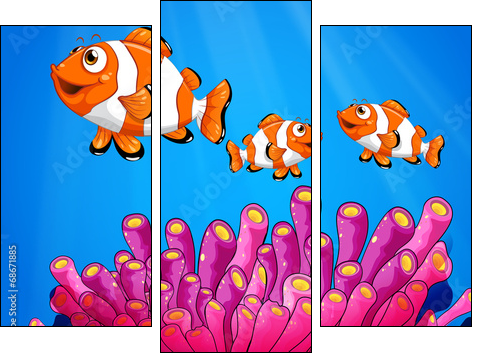 Clownfishes under the sea - Three-piece canvas print, Triptych