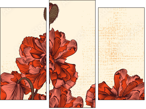 Grunge  background with hand drawn poppy flowers and butterfly - Three-piece canvas print, Triptych
