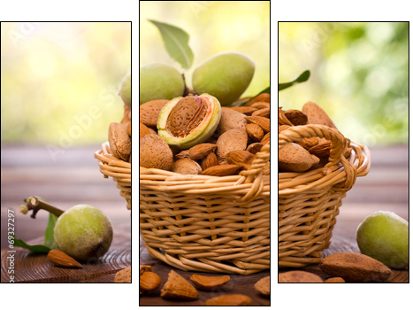 Fresh almonds in the basket - Three-piece canvas print, Triptych