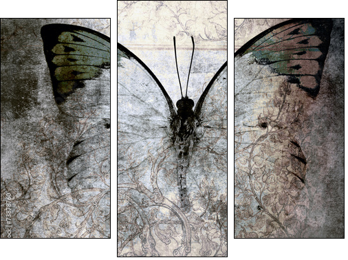 butterfly - Three-piece canvas print, Triptych