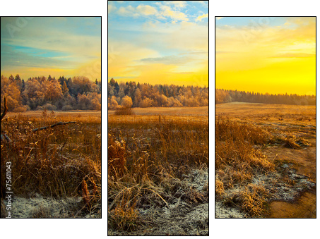 Field, forest, dry grass - beautiful landscape at sunset - Three-piece canvas print, Triptych